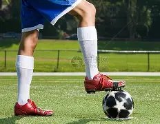 钨矿原料,bwin体育,bwin体育平台,bwin体育平台,bwin体育官方网站,bwin体育登录入口,bwin体育app下载