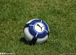 忠县黄金镇,柑橘产业,社会服务助,bwin体育平台,bwin体育官方网站,bwin体育登录入口,bwin体育app下载