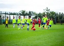 無料,登録,bwin体育,bwin体育平台,bwin体育官方网站,bwin体育登录入口,bwin体育app下载