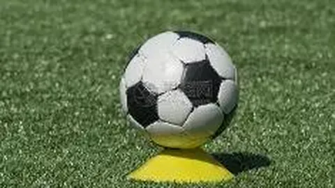 bwin体育 资讯 092118 niu